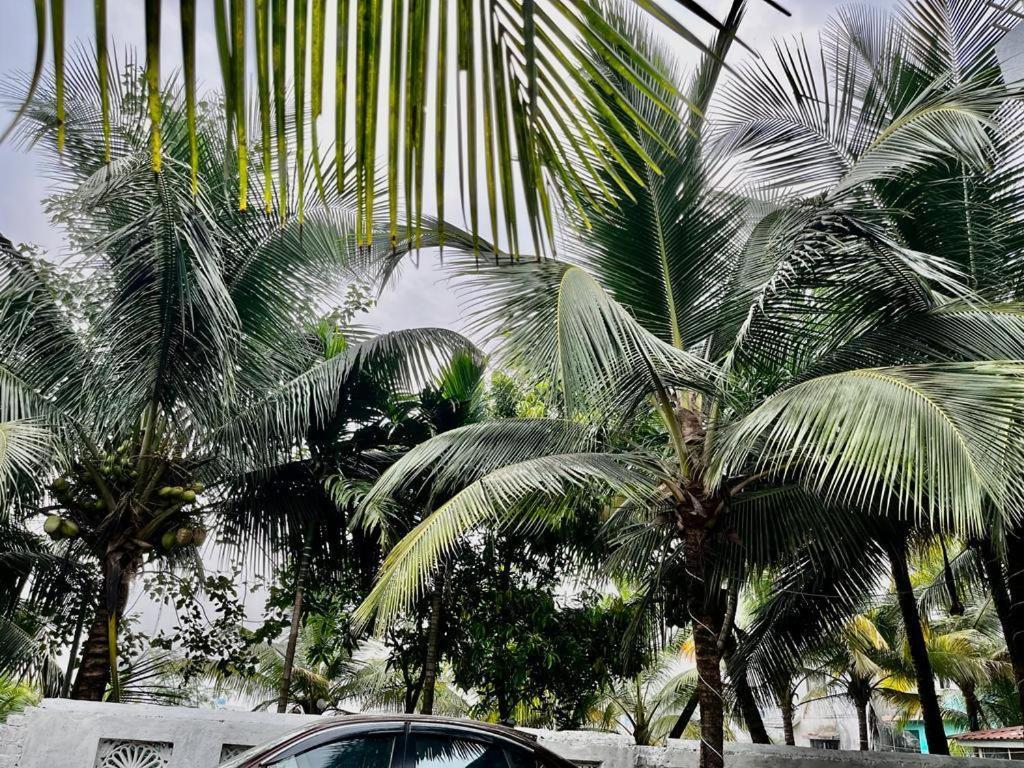 Seanest Hotel Alibag Luaran gambar