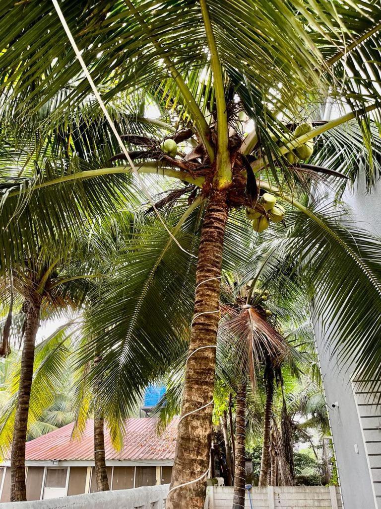 Seanest Hotel Alibag Luaran gambar